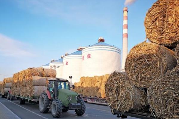 华能集团首个自主投建的生物质热电联产项目开工